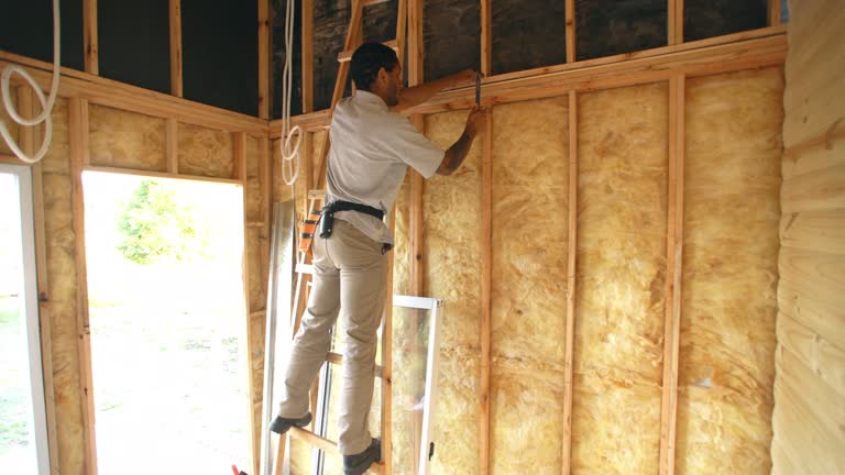 Best Radiant Barrier Insulation  in Cadiz, KY