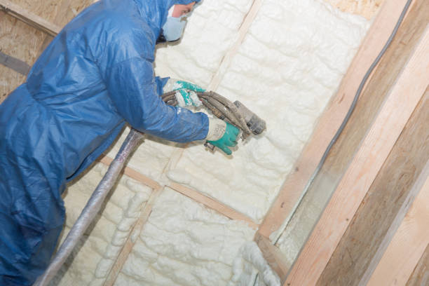 Best Basement Insulation  in Cadiz, KY