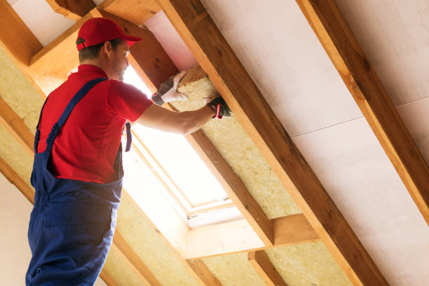 Best Commercial Insulation Services  in Cadiz, KY